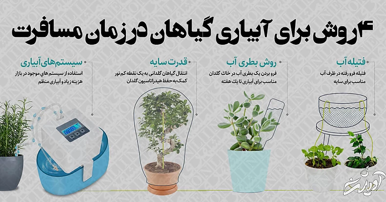 اینفوگرافیک | ۴ روش خلاقانه برای آبیاری گیاهان آپارتمانی در طول مسافرت